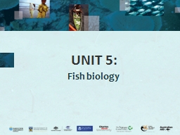 Unit 5 (Fish biology)