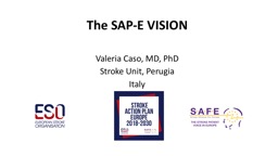 PowerPoint Presentation - Stroke Action Plan for Europe