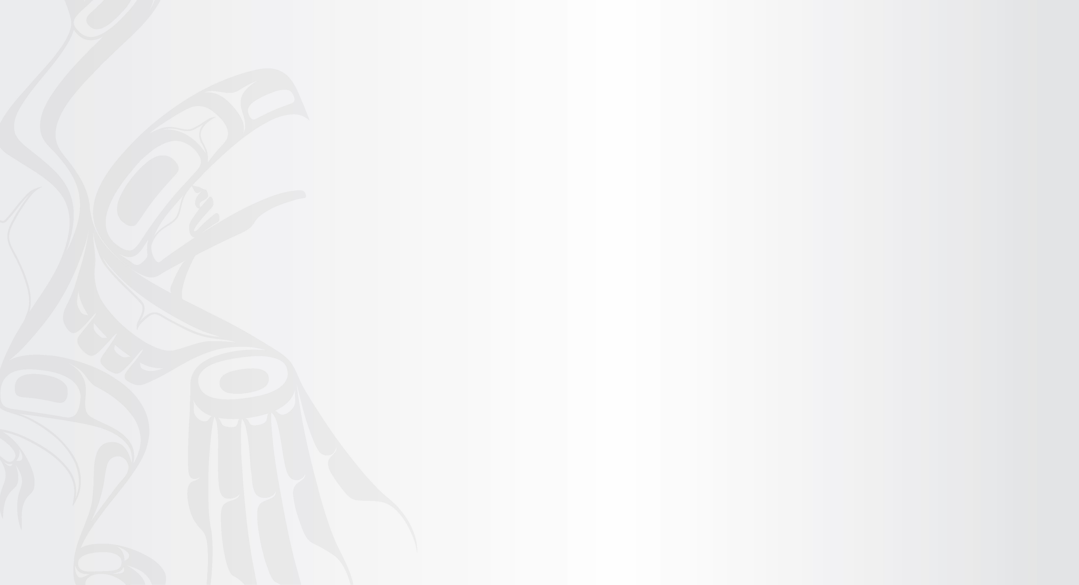 BC PSE Model FNESC – AFN Forum