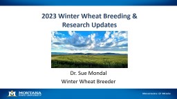 Winter wheat performance, breeding, and research updates (Dr ...