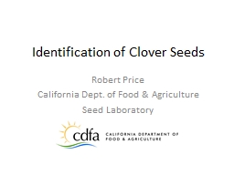 Identification of Clover Seeds - Analyzeseeds