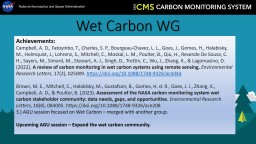 Wet Carbon WG