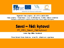 Savci - řád kytovci - ZŠ Slušovice