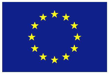 Download presentation - EMN Ireland