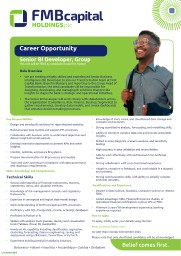 Senior BI Developer - FMB Capital Holdings