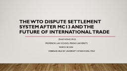 The WTO Dispute Settlement System after MC13 and the Future of ...
