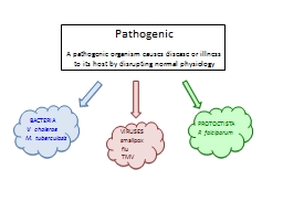 PowerPoint Presentation - WJEC