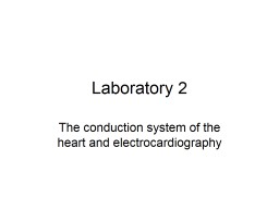 Laboratory 2