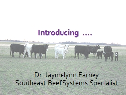 Extension position - K-State Animal Science