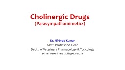 Introduction to Autonomic Nervous System