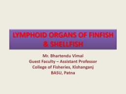 Lymphoid organs of Finfish & Shellfish