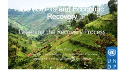 COVOD-19 and Economic Recovery Greening the Recovery Process