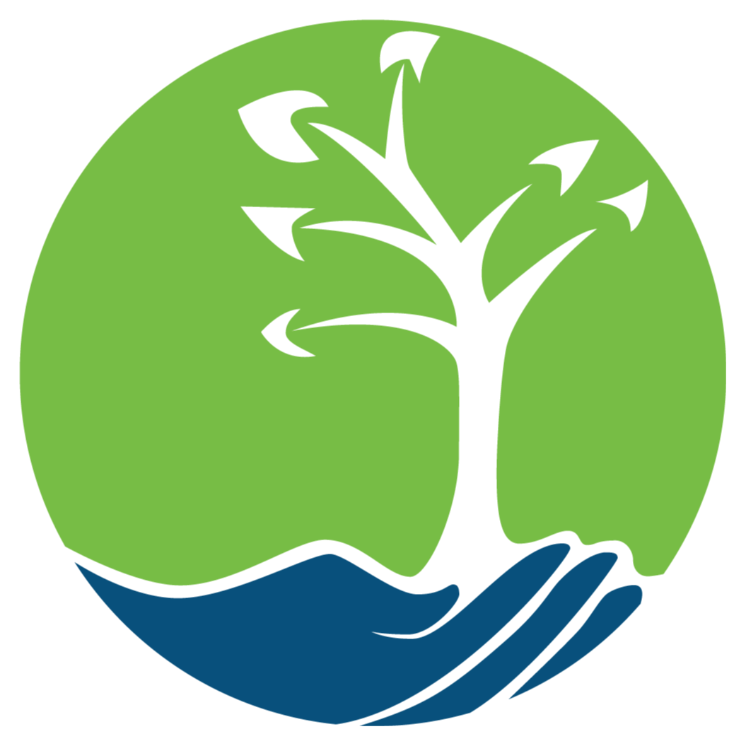 Identification and Individualized Education Program (IEP) Process