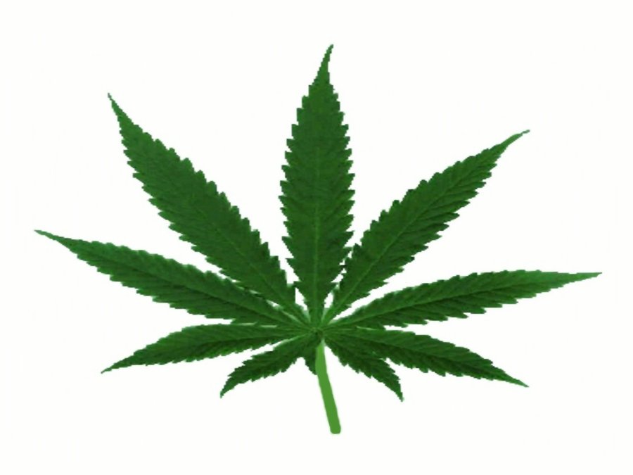 Party Safe: Know Your Drugs and Alcohol