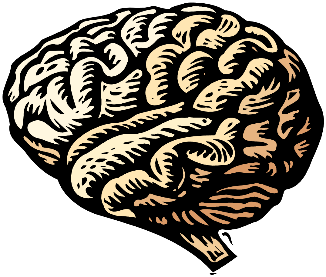 Prognosis in Brain Injury - limbic-cenc