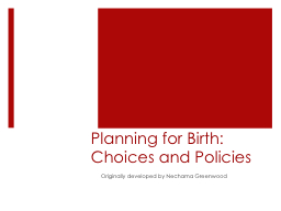 Basics of Birth: Choices and Policies - MCH Navigator