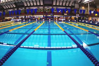 Beginning Stroke and Turn - Pacific Swimming