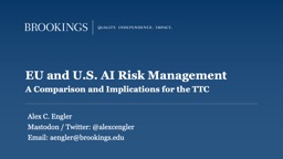 EU and U.S. AI Risk Management - Transatlantic Leadership Network
